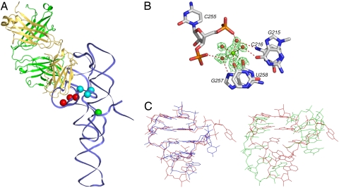 Fig. 6.