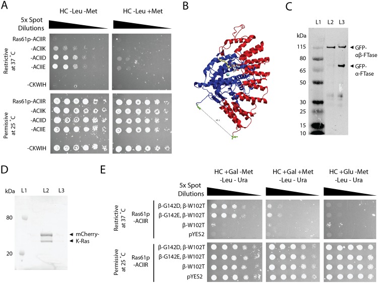 Fig 4