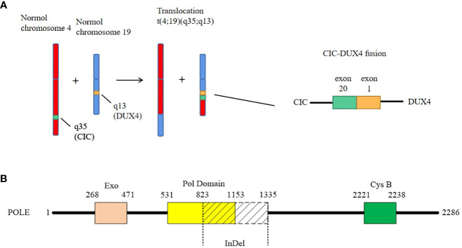 Figure 3