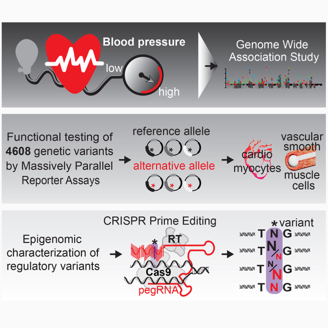 graphic file with name fx1.jpg