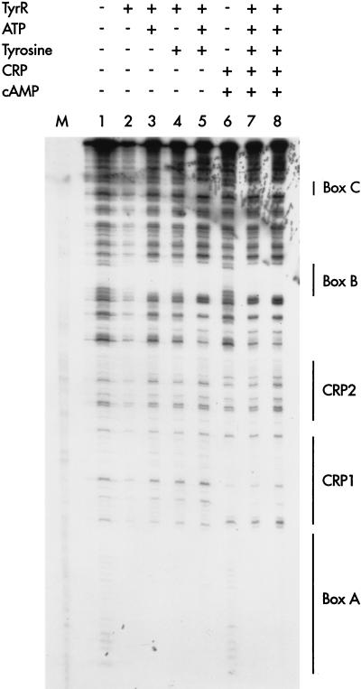 FIG. 5