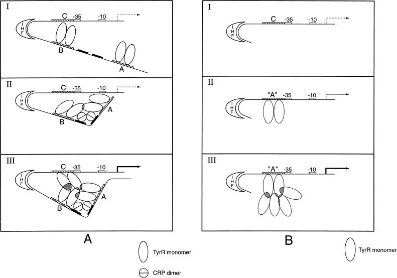 FIG. 9