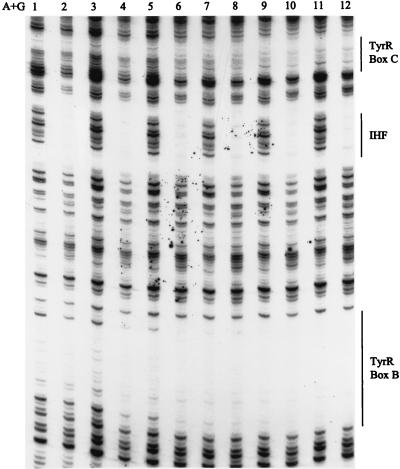 FIG. 7