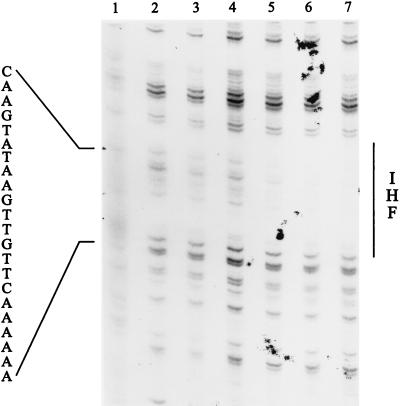 FIG. 6