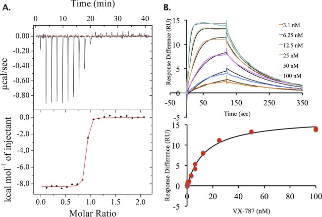 FIG 2