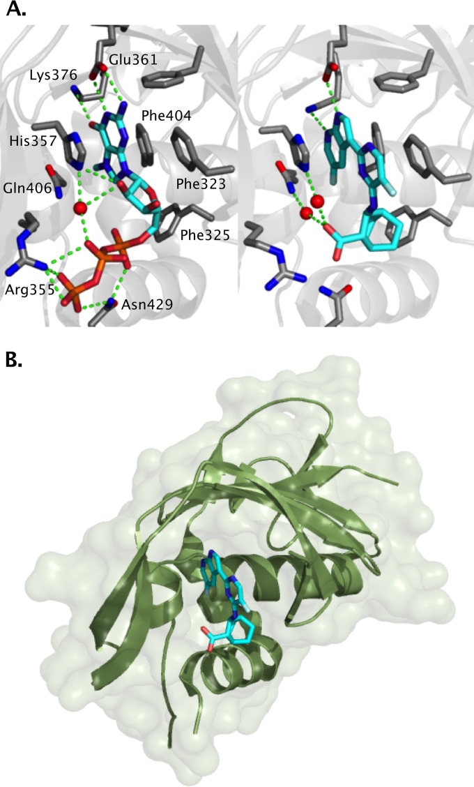 FIG 3