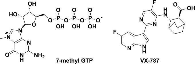 FIG 1