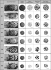 Fig 3