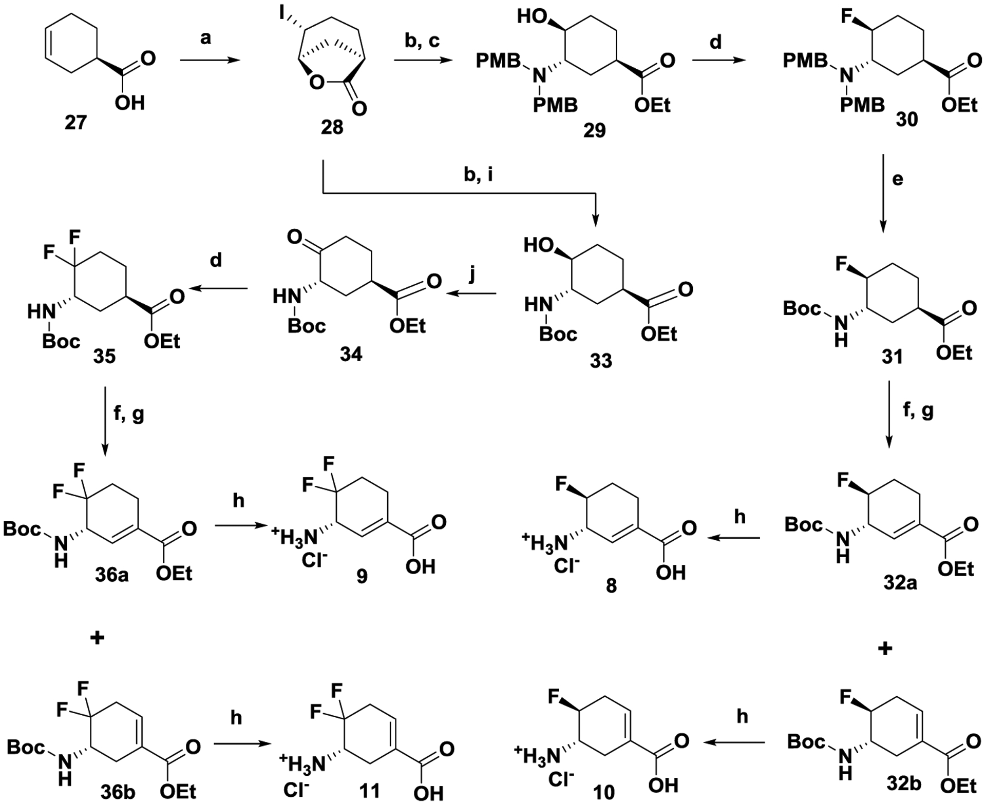 Scheme 3