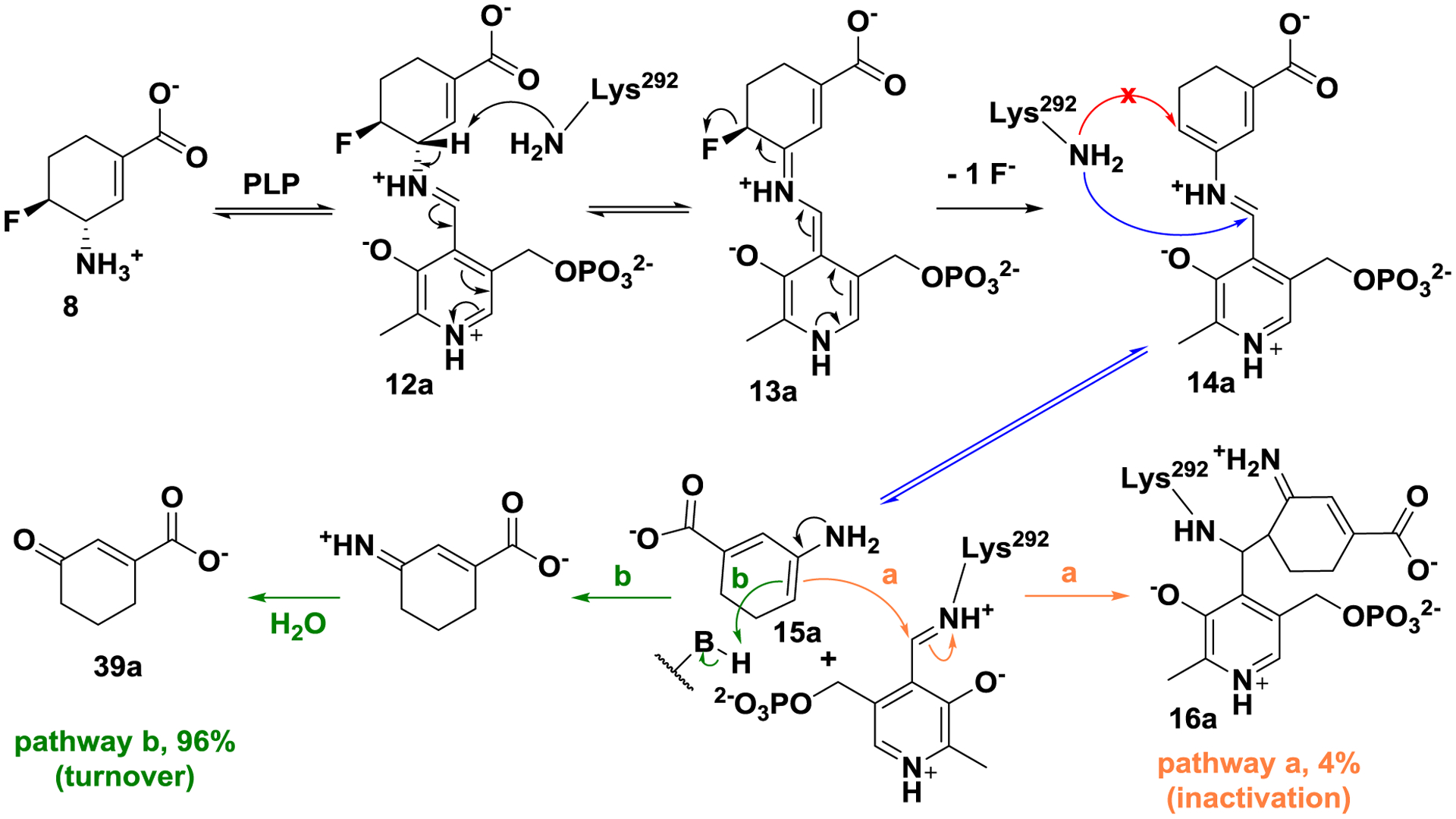 Scheme 5.