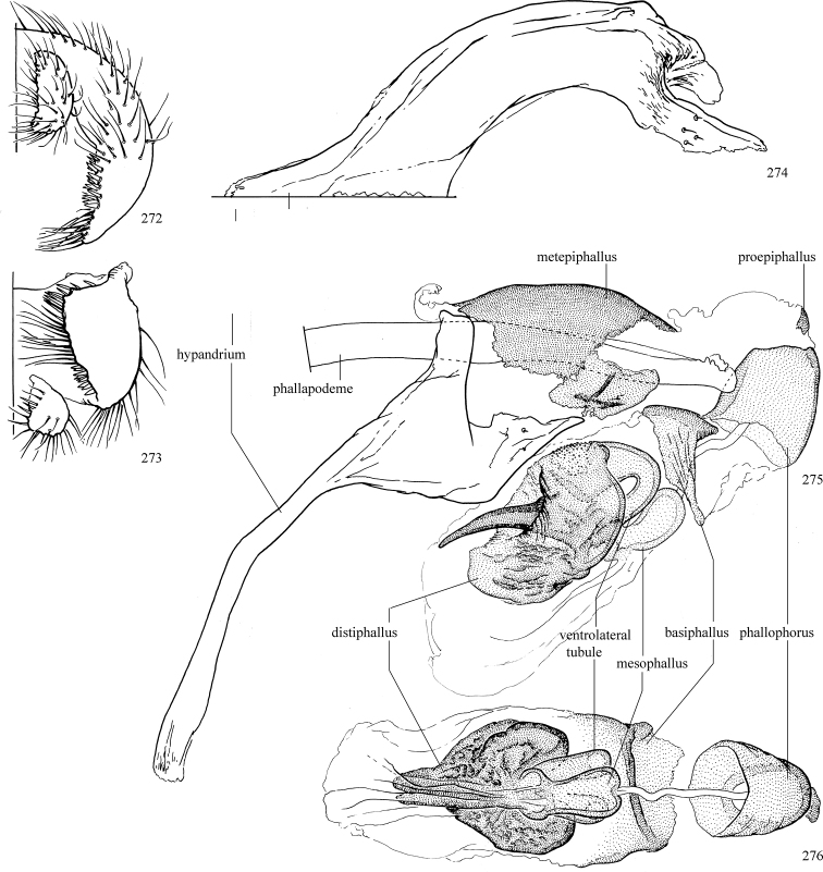 Figures 272–276.