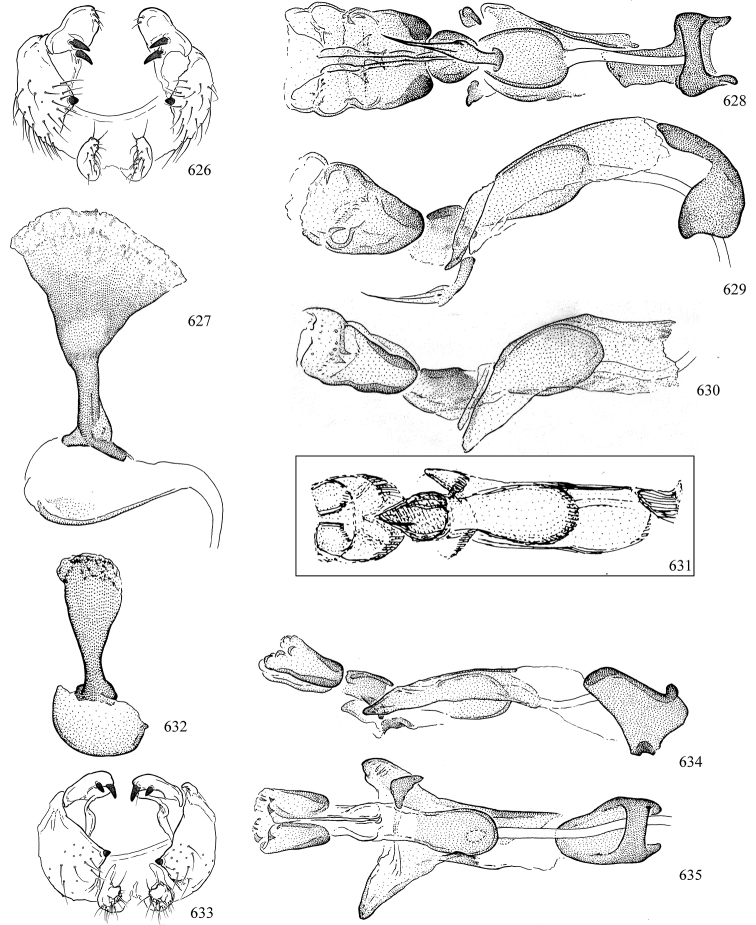 Figures 626–635.