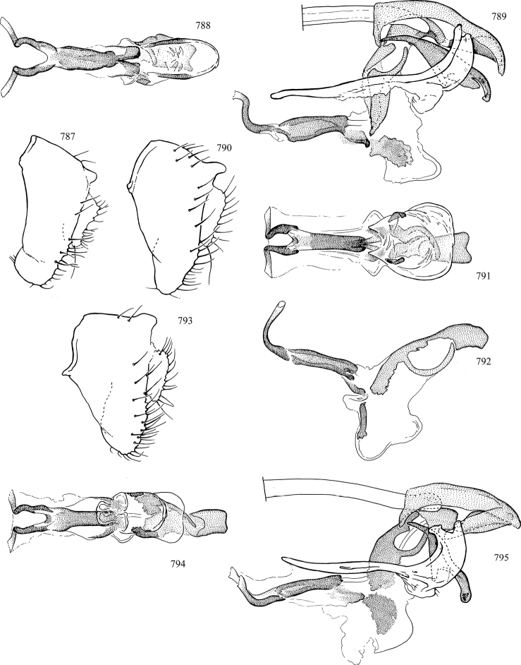 Figures 787–795.