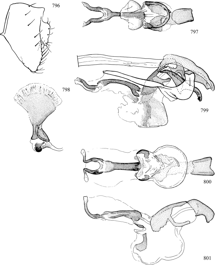 Figures 796–801.