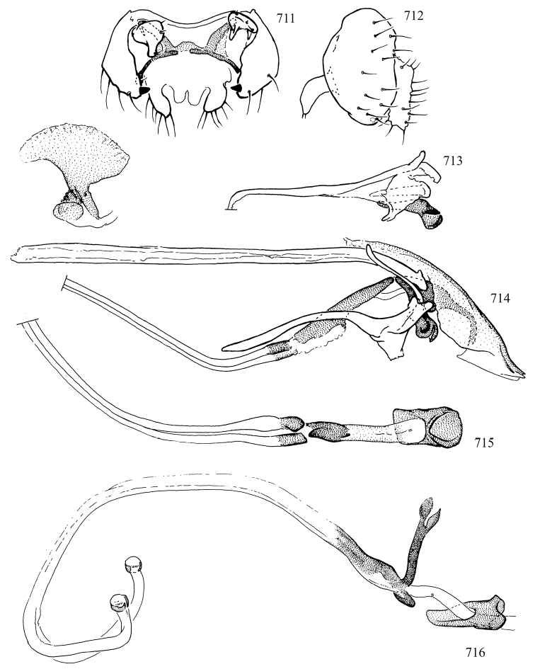 Figures 711–716.