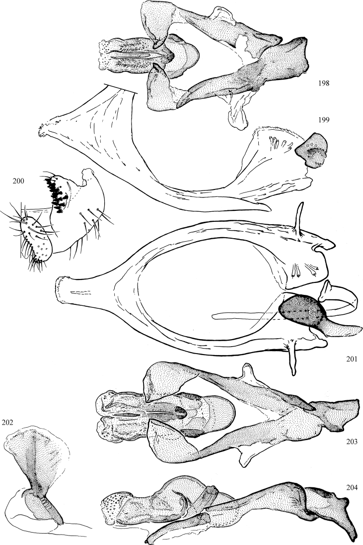 Figures 198–204.