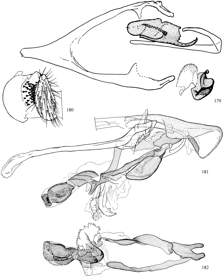 Figures 179–182.