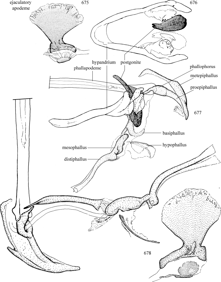 Figures 675–678.