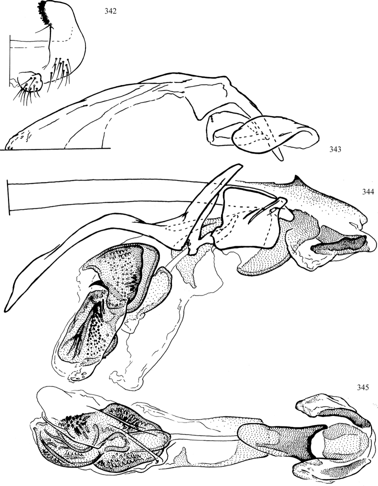 Figures 342–345.