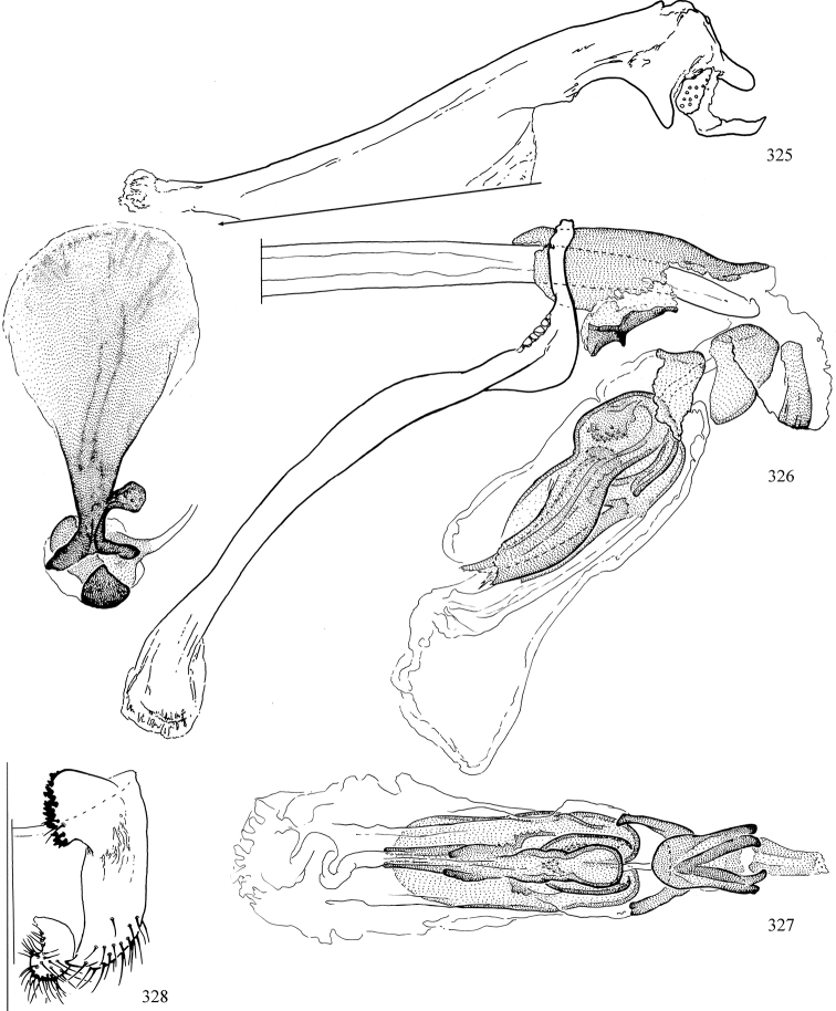 Figures 325–328.