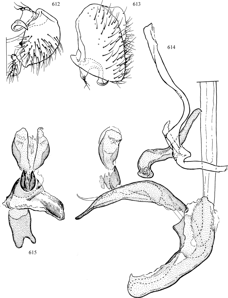 Figures 612–615.