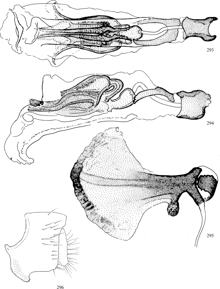 Figures 293–296.