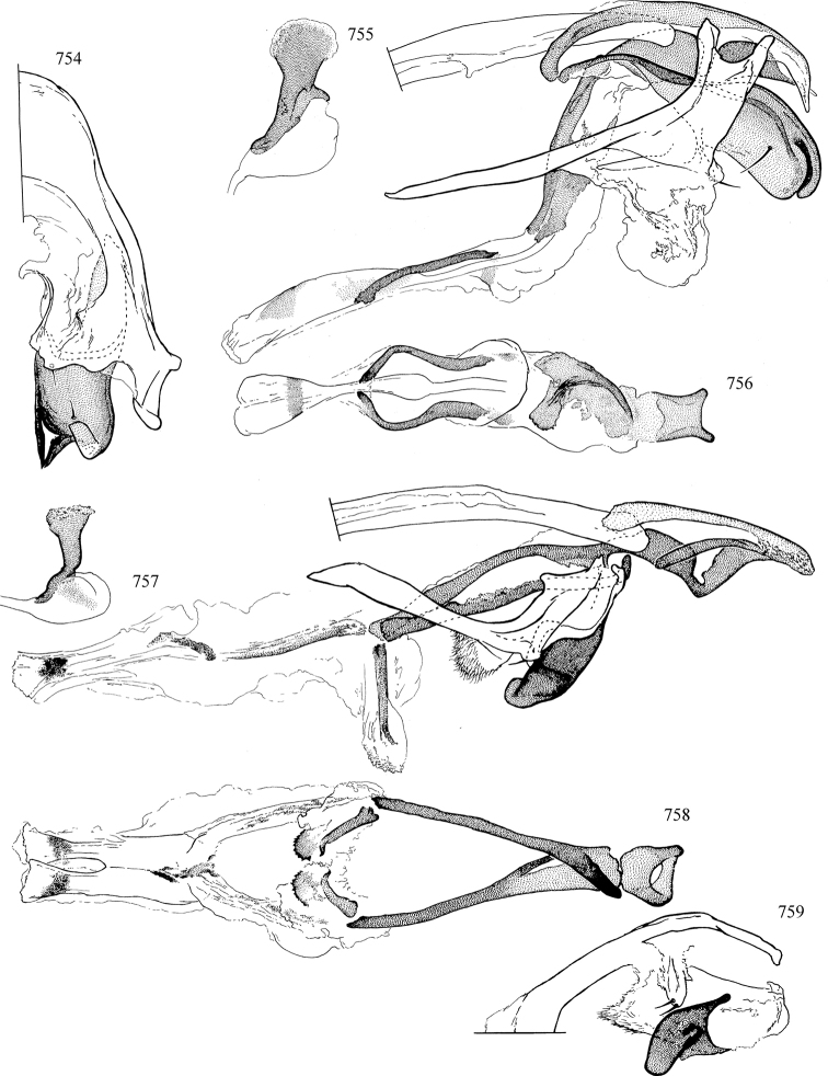 Figures 754–759.