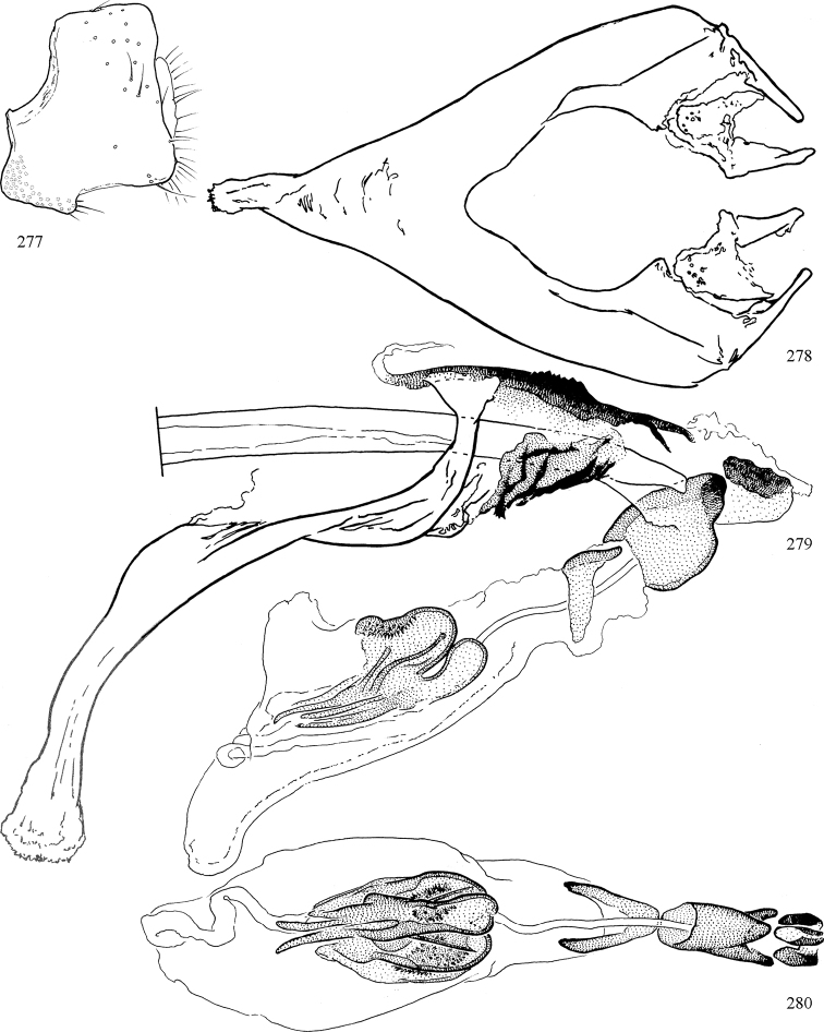 Figures 277–280.