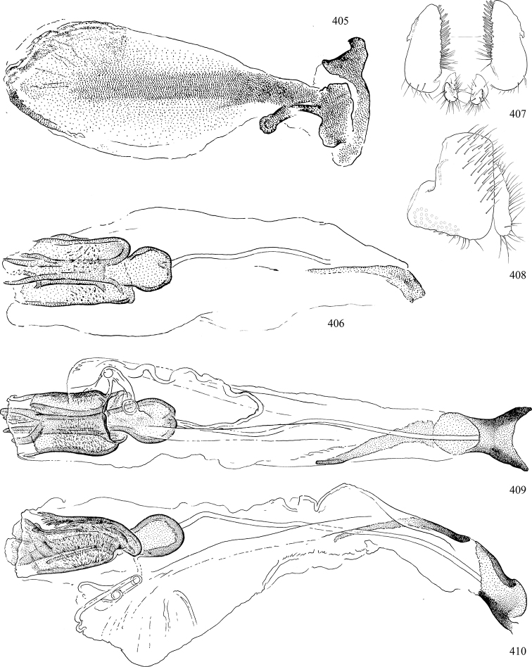 Figures 405–410.