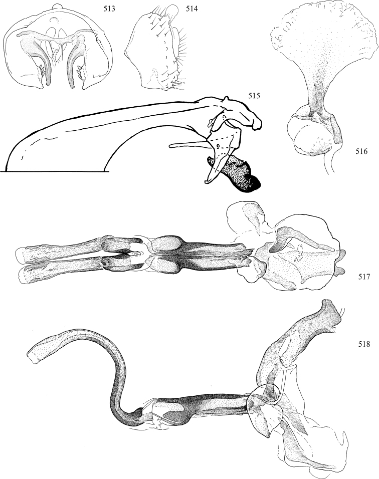 Figures 513–518.