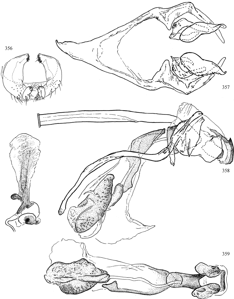 Figures 356–359.