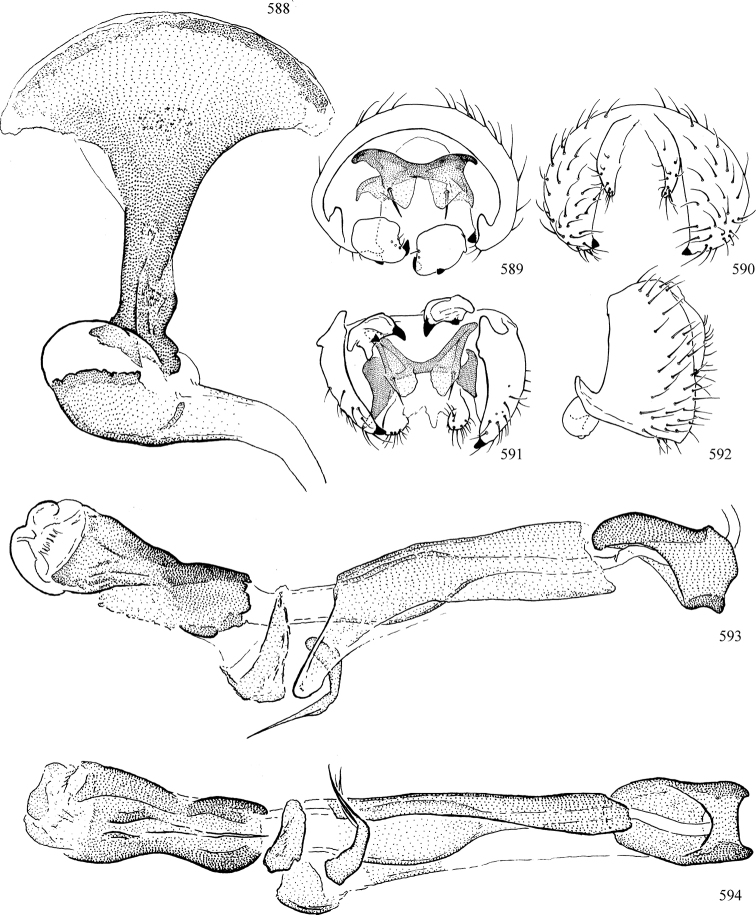 Figures 588–594.