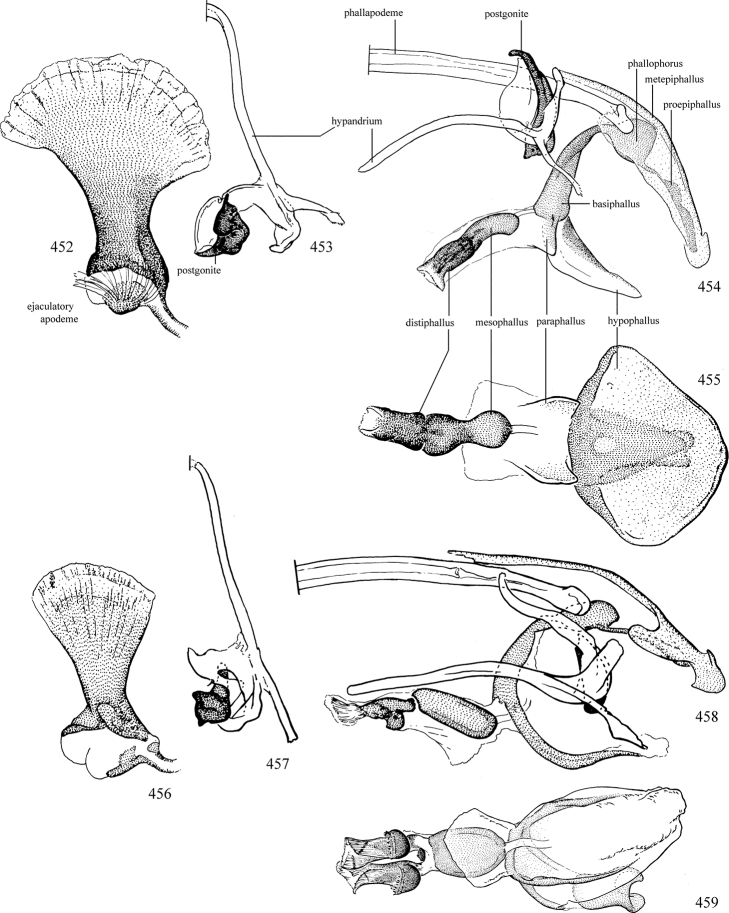 Figures 452–459.