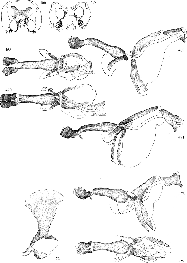 Figures 466–474.