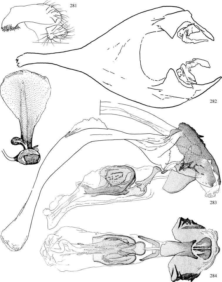 Figures 281–284.