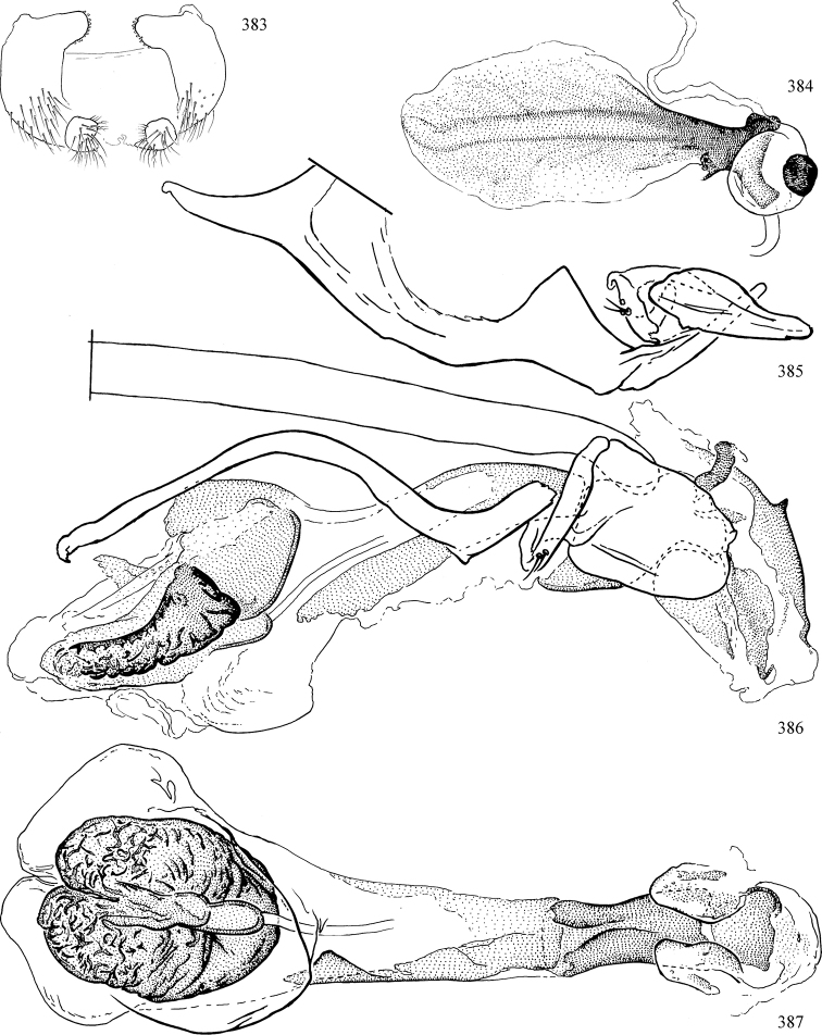 Figures 383–387.