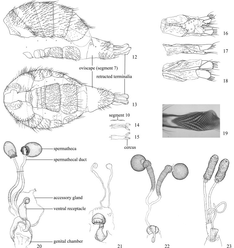 Figures 12–23.