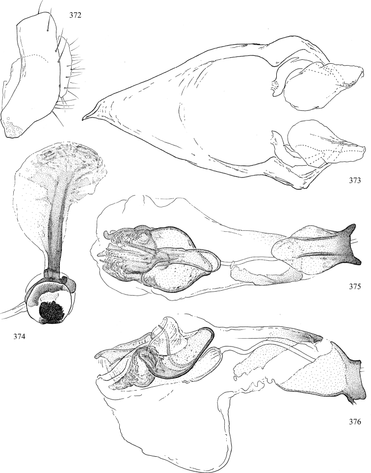 Figures 372–376.