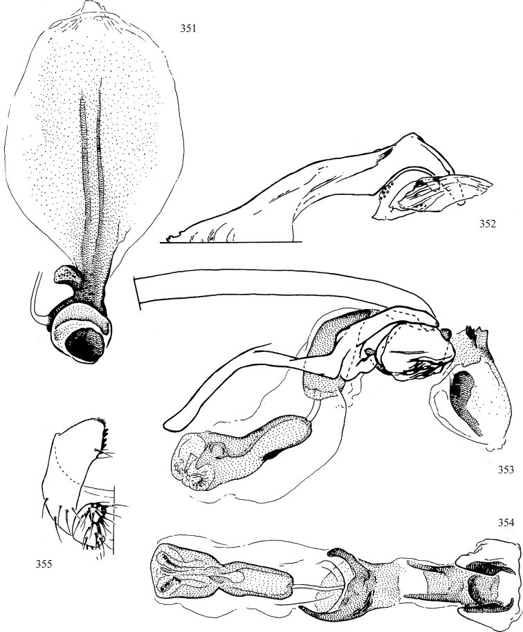 Figures 351–355.