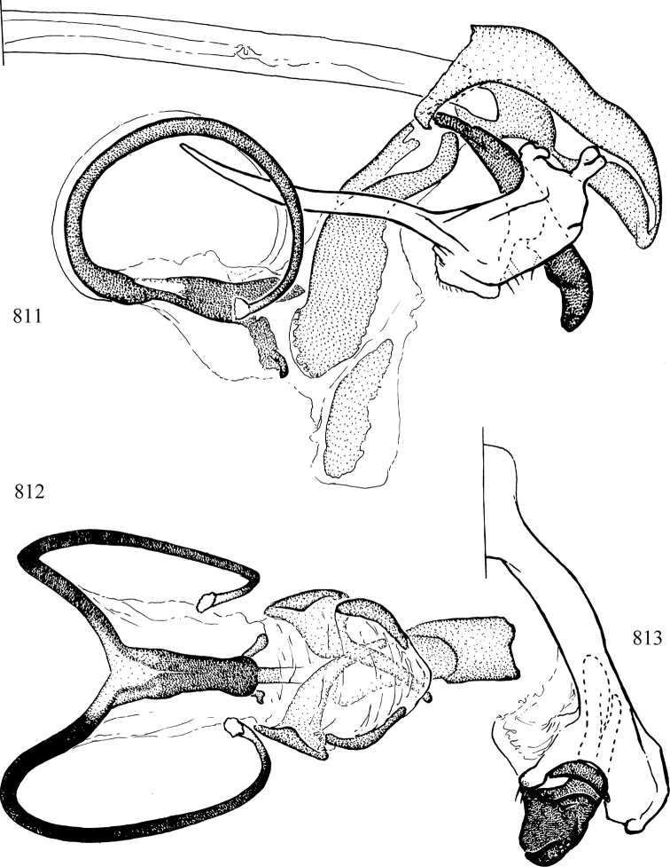 Figures 811–813.