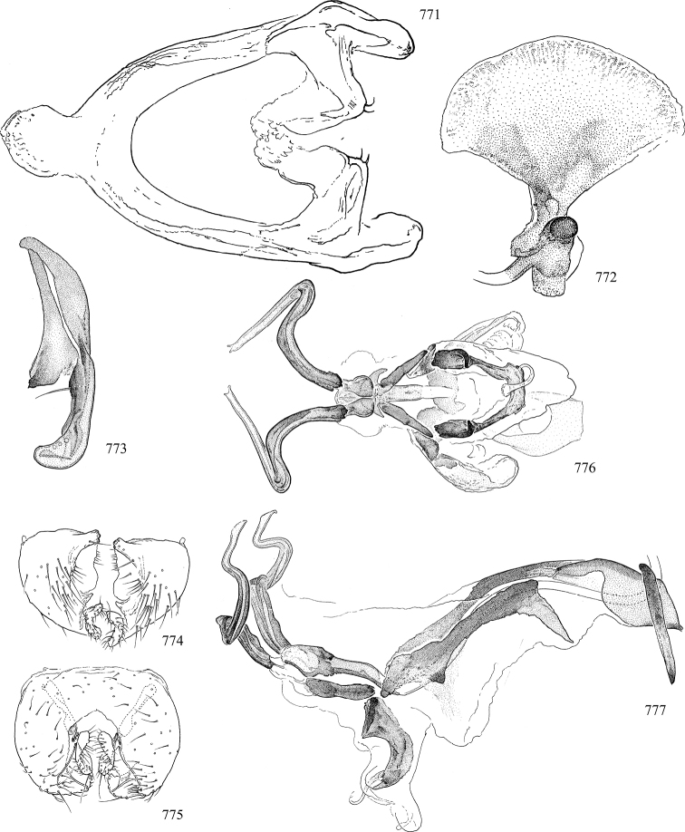 Figures 771–777.