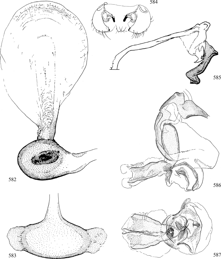 Figures 582–587.