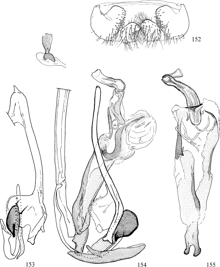 Figures 152–155.