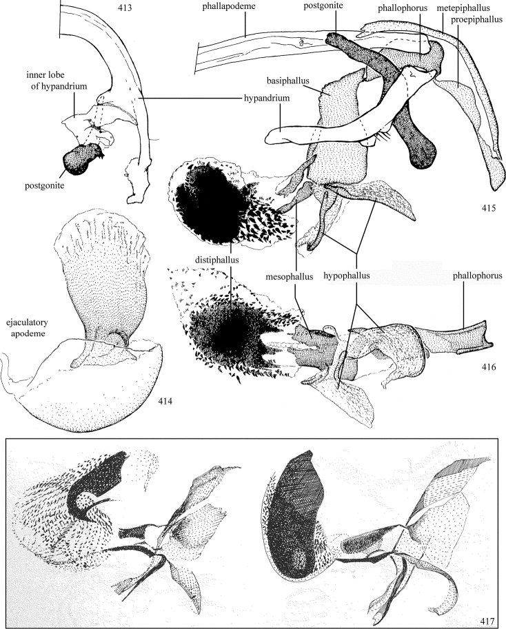 Figures 413–417.