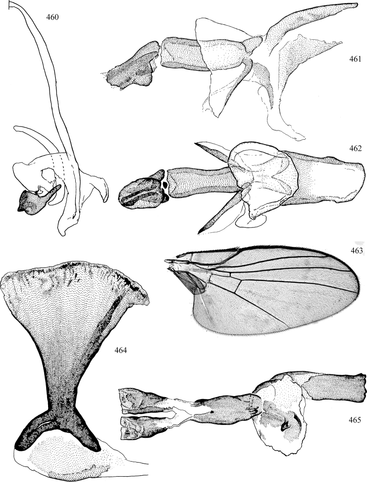 Figures 460–465.