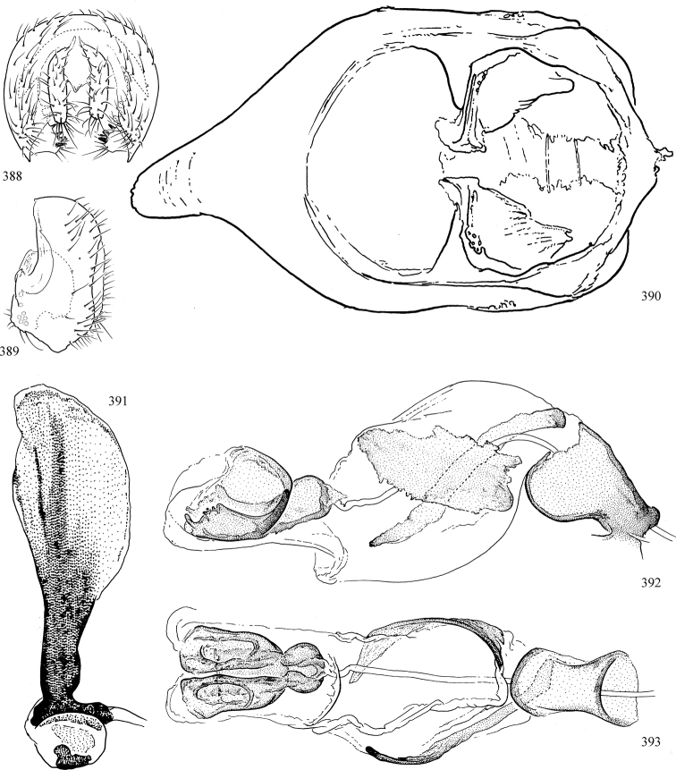 Figures 388–393.