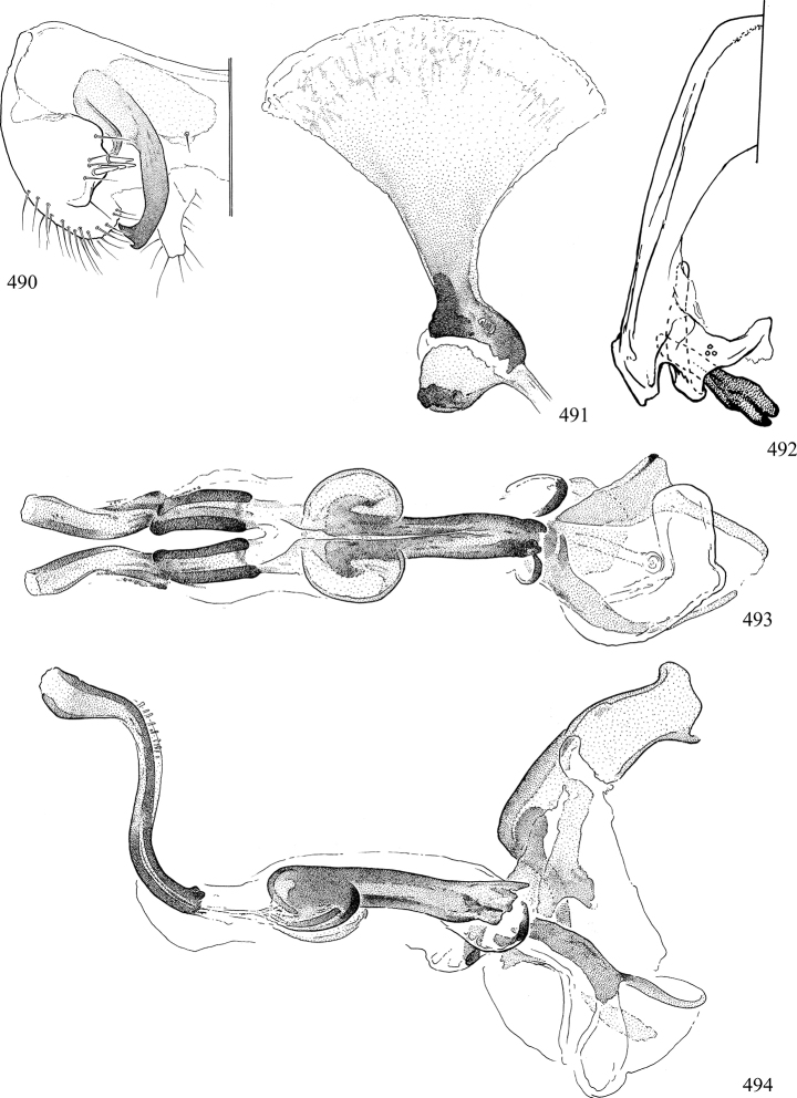 Figures 490–494.