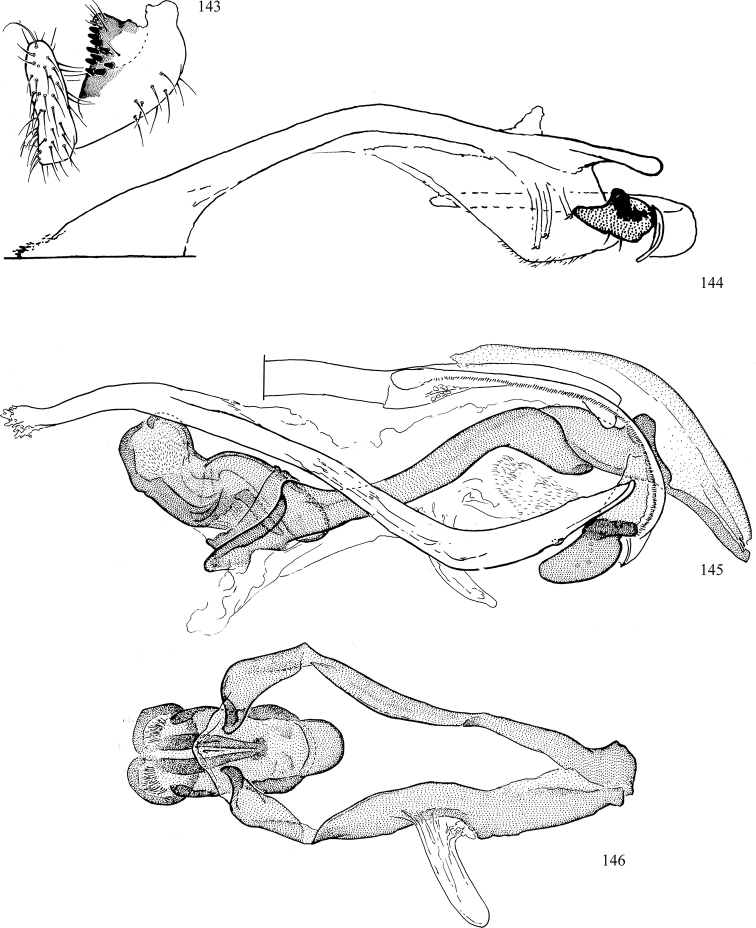 Figures 143–146.