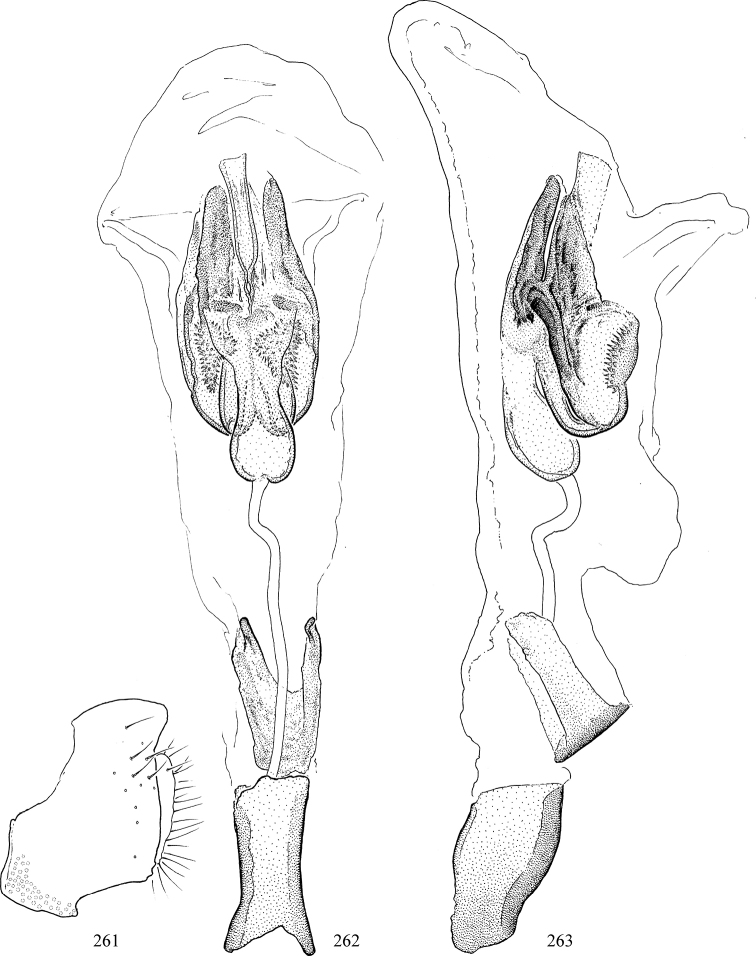 Figures 261–263.