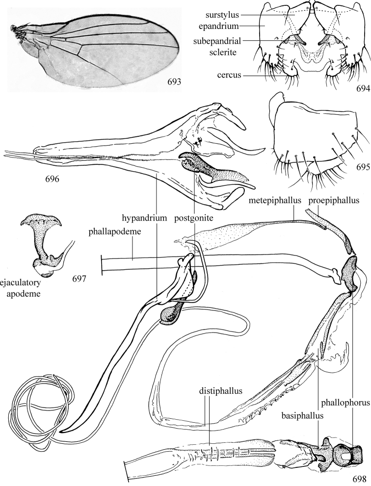 Figures 693–698.